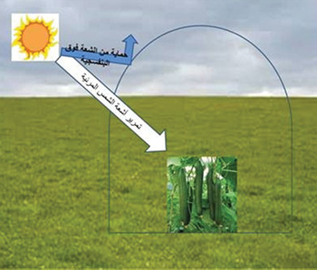 PROTECTION CONTRE LES RAYONS UV