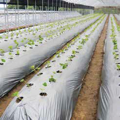 المنتوج النهائي